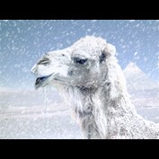 Photoshop Design by Norrit