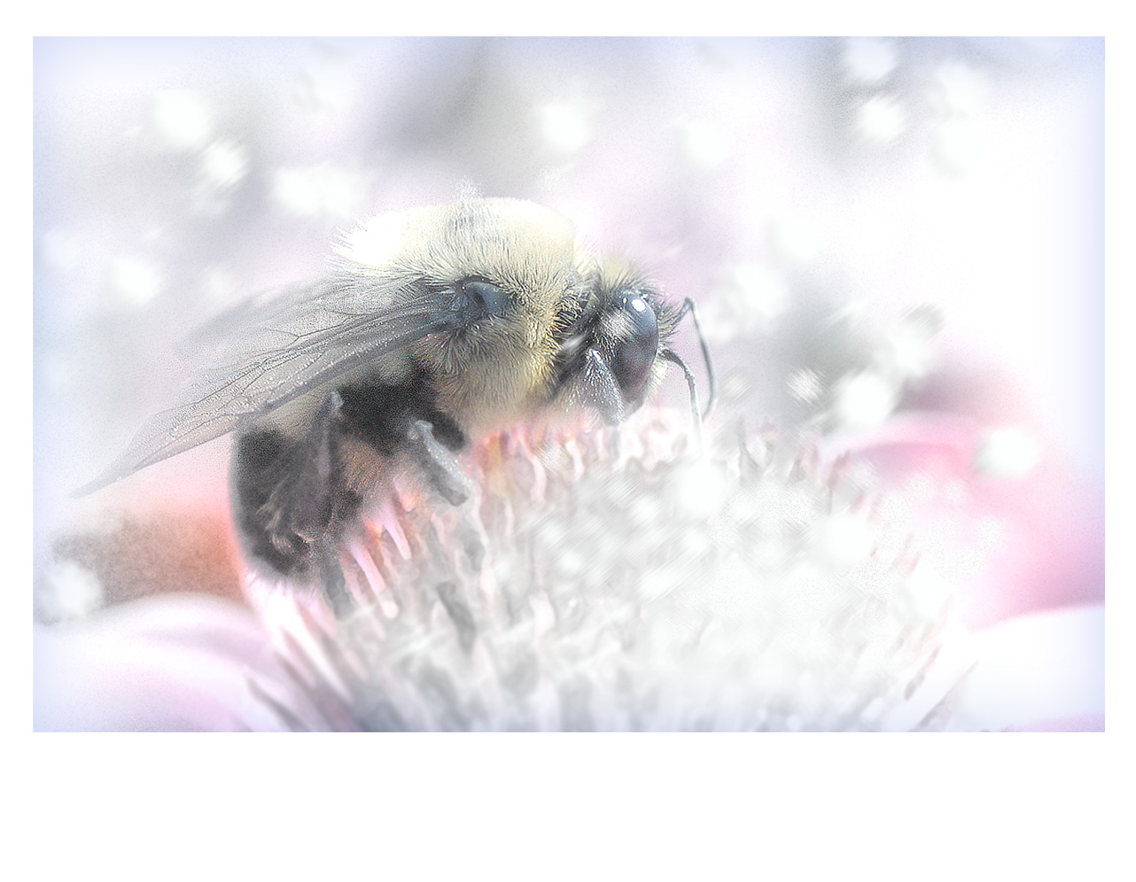 Photoshop Design by blueorb for DesignCrowd (Community Contests) | Design #9110981