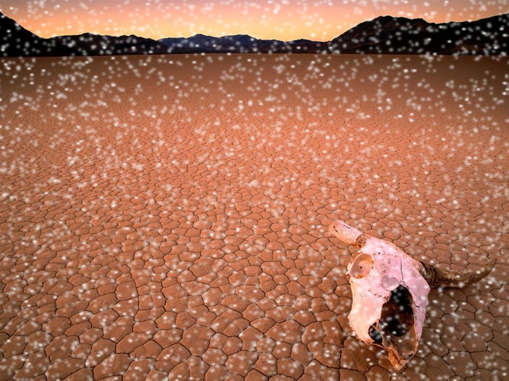 Photoshop-Design von FoxPaw für DesignCrowd (Community Contests) | Design #9111019