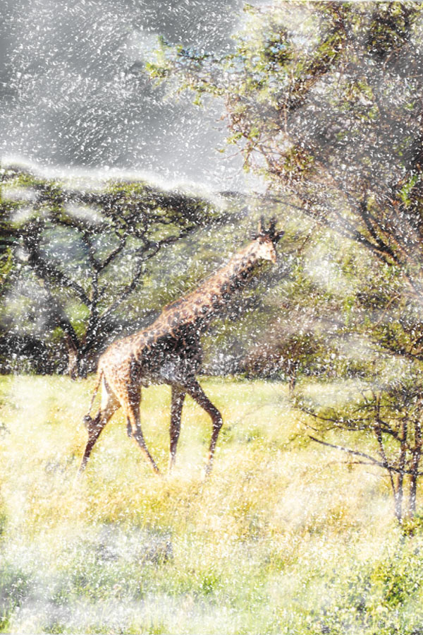 Photoshop-Design von LeMolstad für DesignCrowd (Community Contests) | Design #9110965