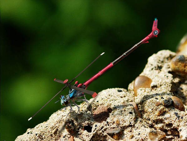 Photoshop Design by Feanor for DesignCrowd (Community Contests) | Design #9099738