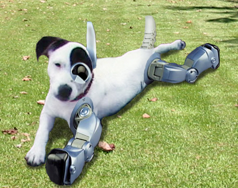 Photoshop Design by duragg for DesignCrowd (Community Contests) | Design #9099756