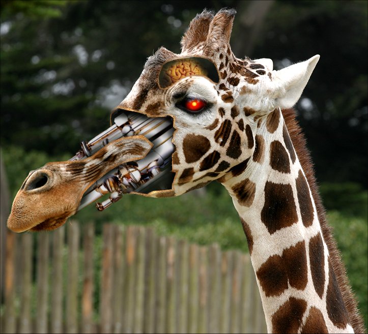 Photoshop Design by Garsaelon for DesignCrowd (Community Contests) | Design #9099721