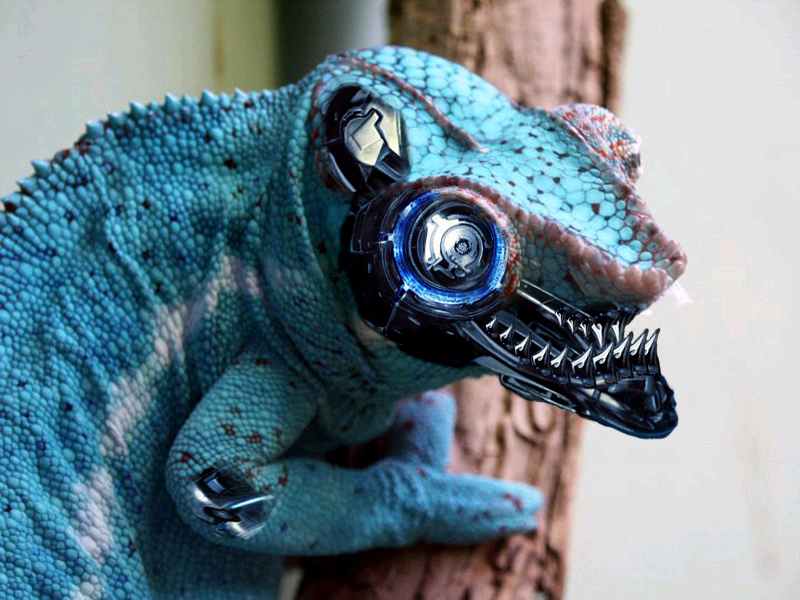 Photoshop Design by Odessa for DesignCrowd (Community Contests) | Design #9099844