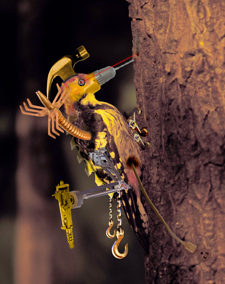 Diseño de Photoshop por Gaspode para DesignCrowd (Community Contests) | Diseño #9099848