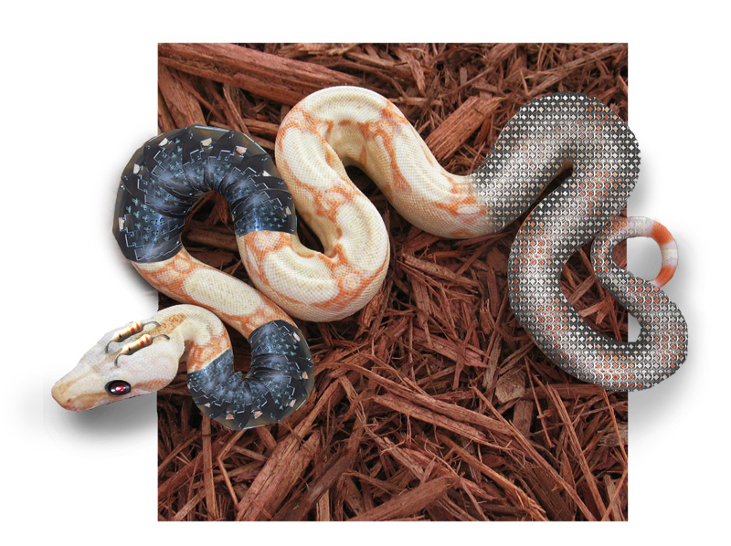 Design Photoshop par iDadalex pour DesignCrowd (Community Contests) | Design #9099788