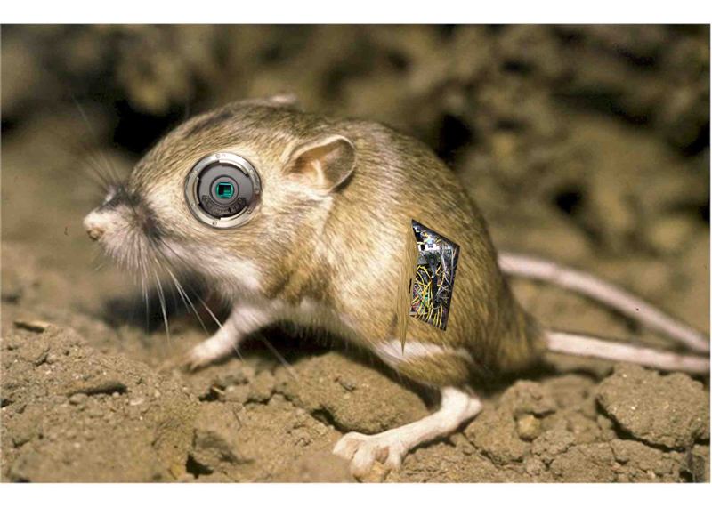 Diseño de Photoshop por DigitalExtreme para DesignCrowd (Community Contests) | Diseño #9099837