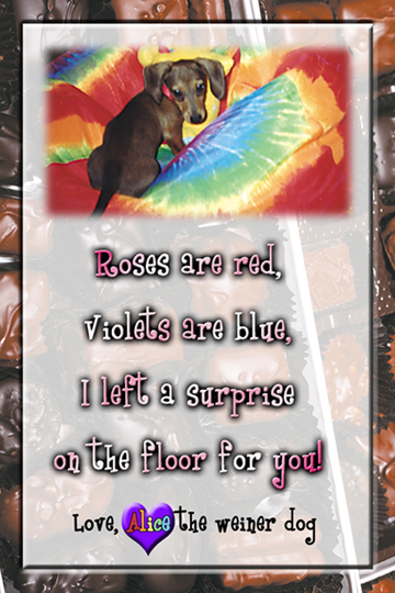 Photoshop Design by hippytrippygypsy for DesignCrowd (Community Contests) | Design #9126868