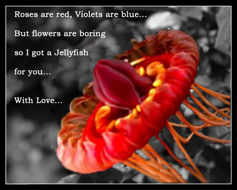 Photoshop Design by TheGemini for DesignCrowd (Community Contests) | Design #9126865