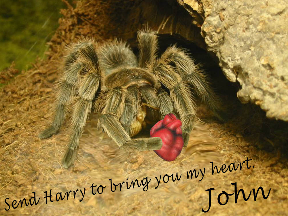 Design Photoshop par KatiEngelchen pour DesignCrowd (Community Contests) | Design #9126929