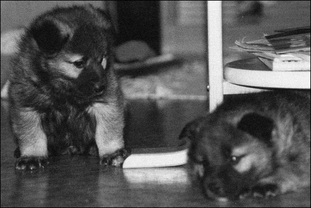 Photography by ecolio for DesignCrowd (Community Contests) | Design #9126981