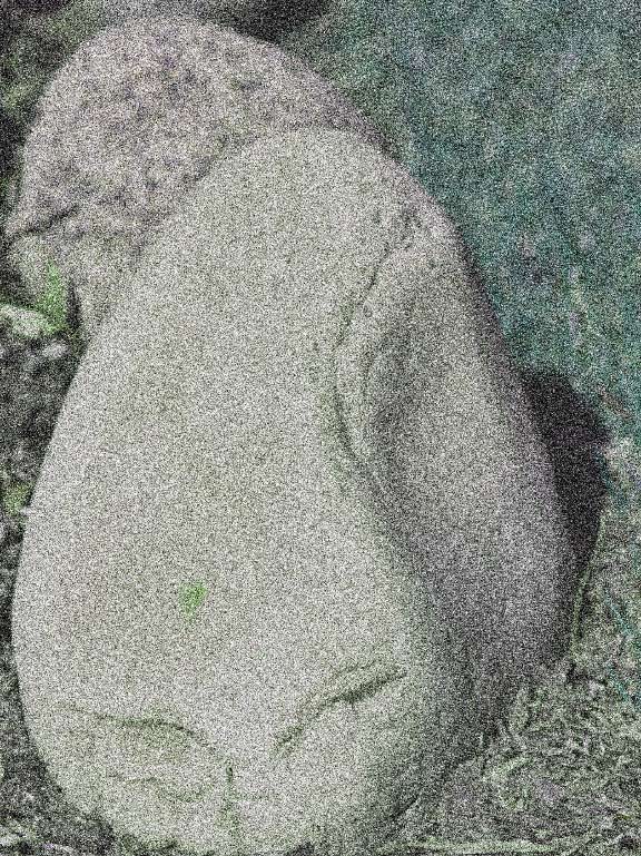 Fotografía por Stephen1177 para DesignCrowd (Community Contests) | Diseño #9126971