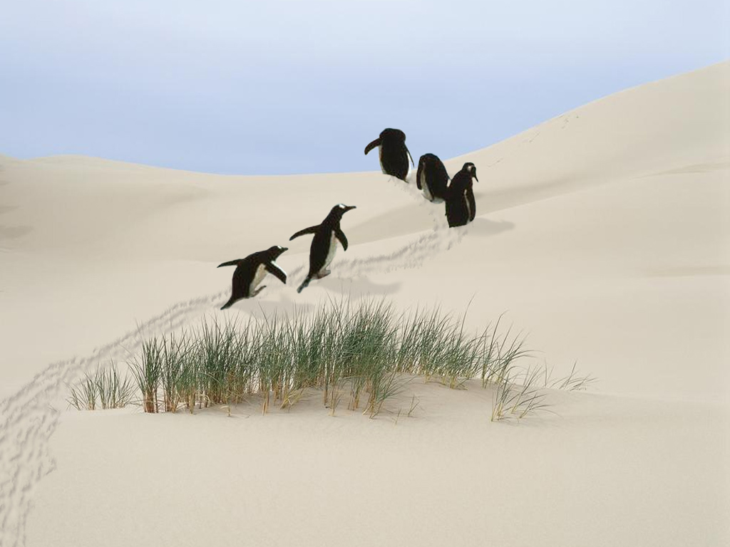 Photoshop Design by BALTMAX_BANNED for DesignCrowd (Community Contests) | Design #9127737