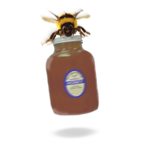 Photoshop Design by FlowerofTelperion for DesignCrowd (Community Contests) | Design #9127135