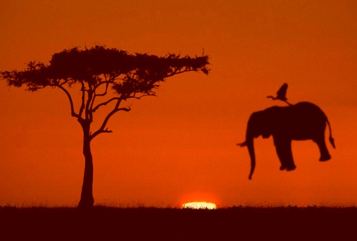 Photoshop Design by ciccioculo for DesignCrowd (Community Contests) | Design #9127208