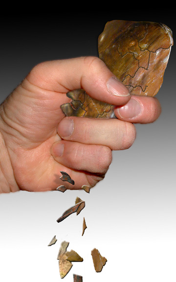 Diseño de Photoshop por Terrence para DesignCrowd (Community Contests) | Diseño #9127215