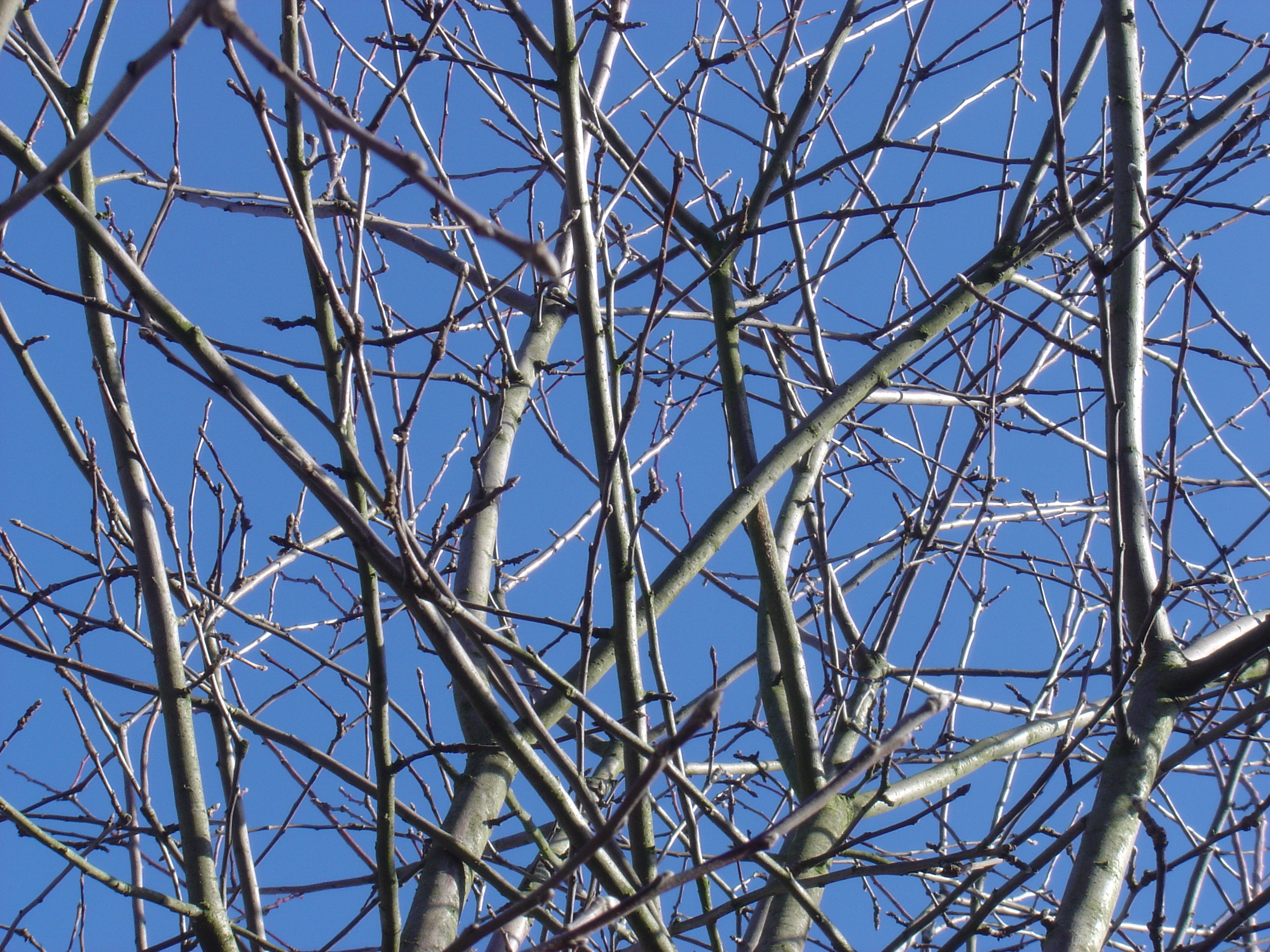 Photography by nikki251 for DesignCrowd (Community Contests) | Design #9127420