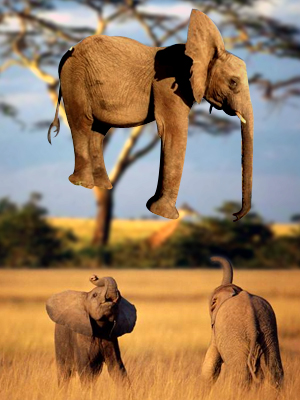 Photoshop Design by sergiopaulos for DesignCrowd (Community Contests) | Design #9125912