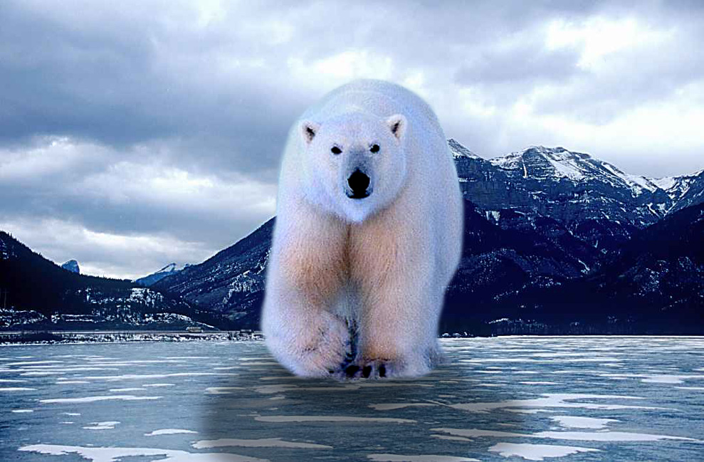 Photoshop Design by rdk for DesignCrowd (Community Contests) | Design #9125915