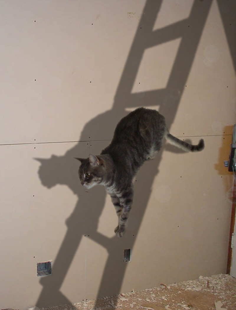 Photoshop Design by BALTMAX_BANNED for DesignCrowd (Community Contests) | Design #9125976