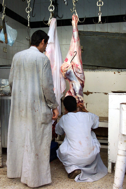 Photographie par Chiqui74 pour DesignCrowd (Community Contests) | Design #9100129