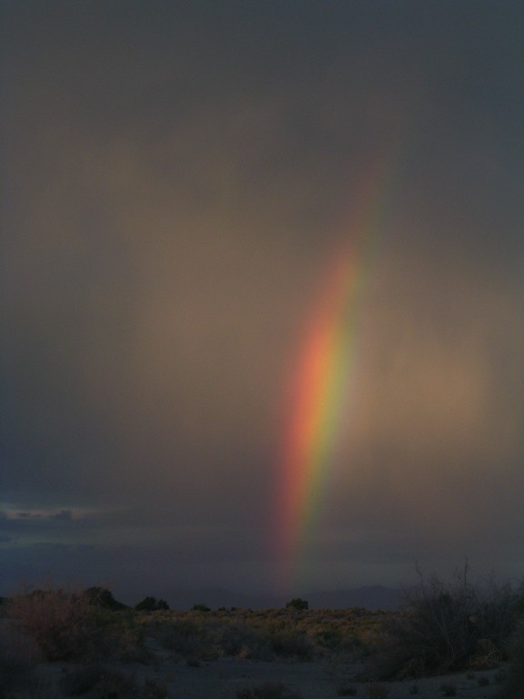 Fotografie von DaftGretel für DesignCrowd (Community Contests) | Design #9125233