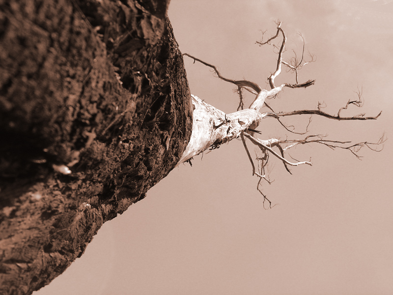 Photographie par iceman1310 pour DesignCrowd (Community Contests) | Design #9099968