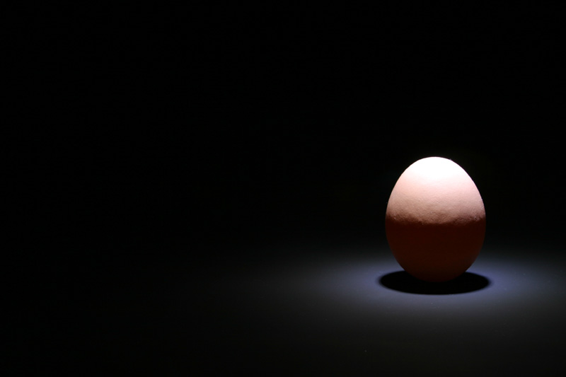 Fotografie von devilgas für DesignCrowd (Community Contests) | Design #9100020