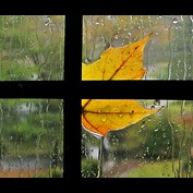 Photography by rjoannej