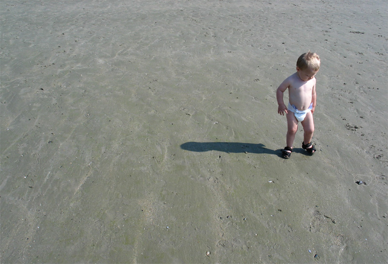 Fotografía por FireFox para DesignCrowd (Community Contests) | Diseño #9100088