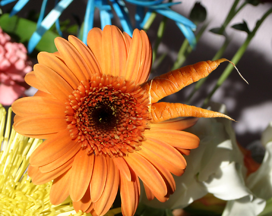 Photoshop Design by bobike for DesignCrowd (Community Contests) | Design #9110706