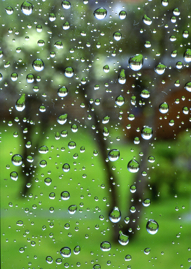 Fotografía por RitaRichter para DesignCrowd (Community Contests) | Diseño #9125329