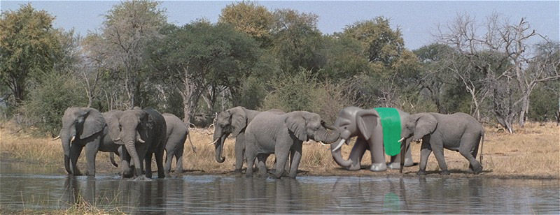 Photoshop Design by Dappers for DesignCrowd (Community Contests) | Design #9110690