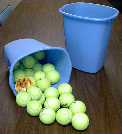 Photoshop Design by Valmont80 for DesignCrowd (Community Contests) | Design #9110732