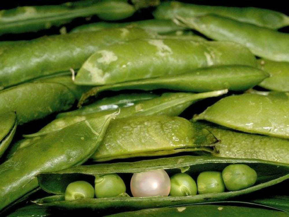 Design Photoshop par Haland pour DesignCrowd (Community Contests) | Design #9110708