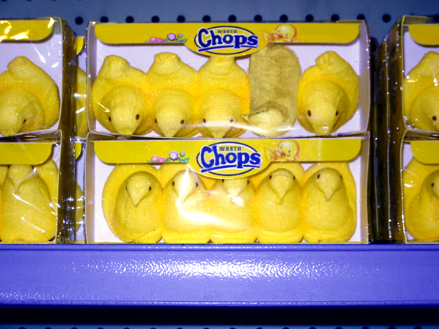 Photoshop Design by cl0ckw0rk for DesignCrowd (Community Contests) | Design #9110717