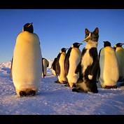 Photoshop Design by Cj