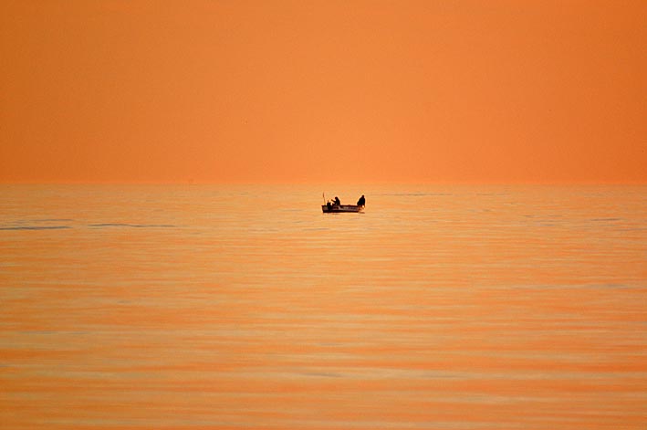 Photography by Alpino for DesignCrowd (Community Contests) | Design #9100060