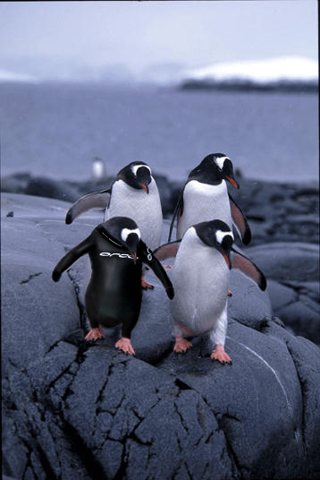 Photoshop-Design von scotty2hotty für DesignCrowd (Community Contests) | Design #9110866