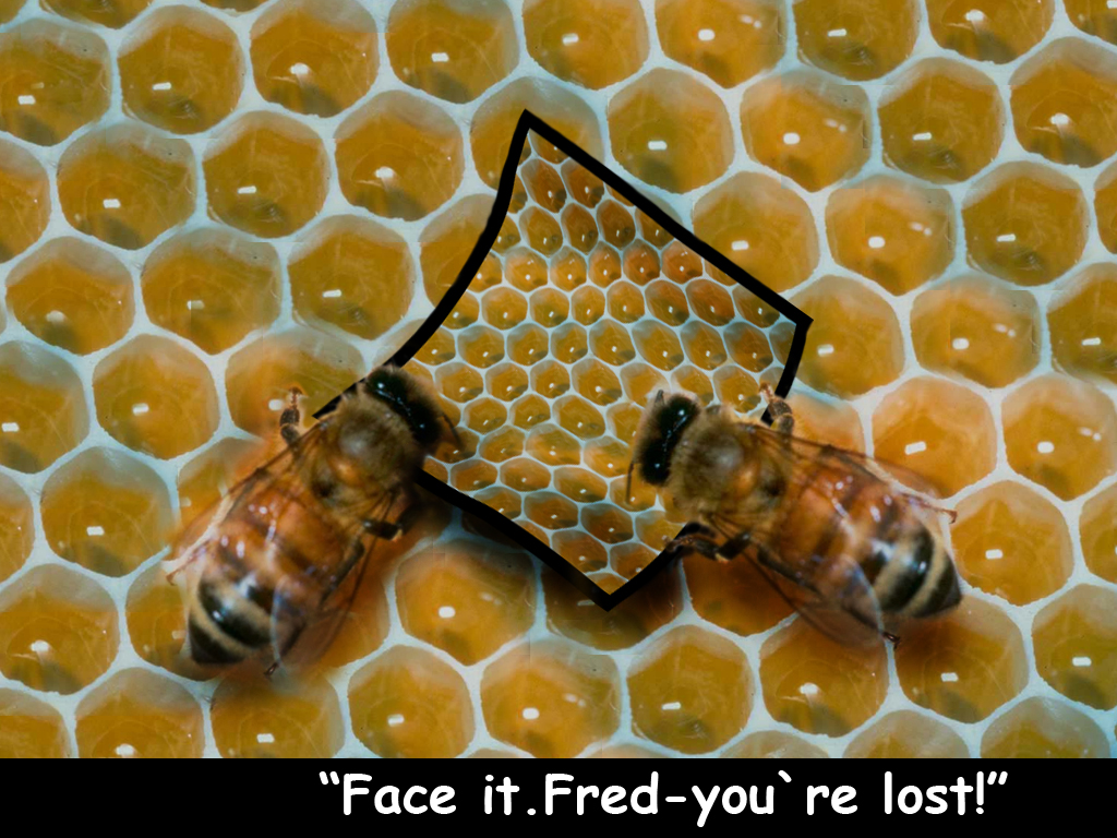 Photoshop-Design von sylver für DesignCrowd (Community Contests) | Design #9125909