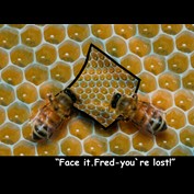 Photoshop Design by sylver