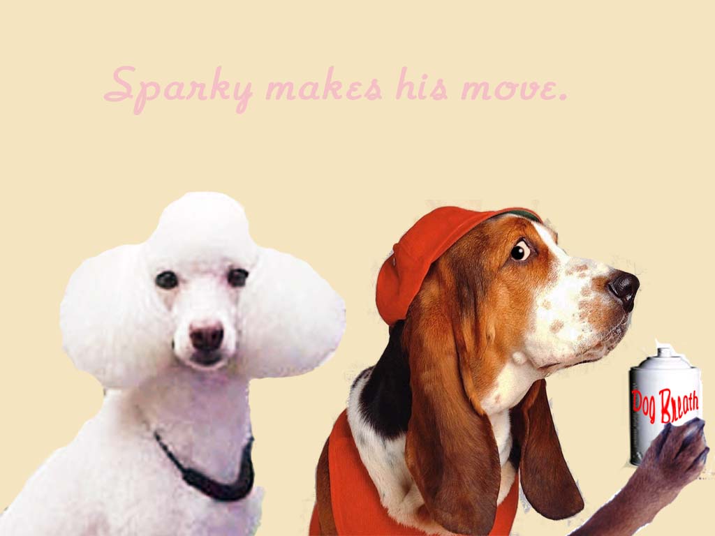 Photoshop Design by Legallyblonde877 for DesignCrowd (Community Contests) | Design #9125950