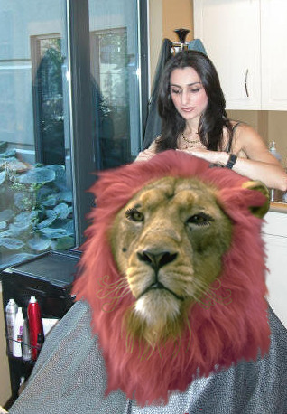 Design Photoshop par jaysin pour DesignCrowd (Community Contests) | Design #9125989