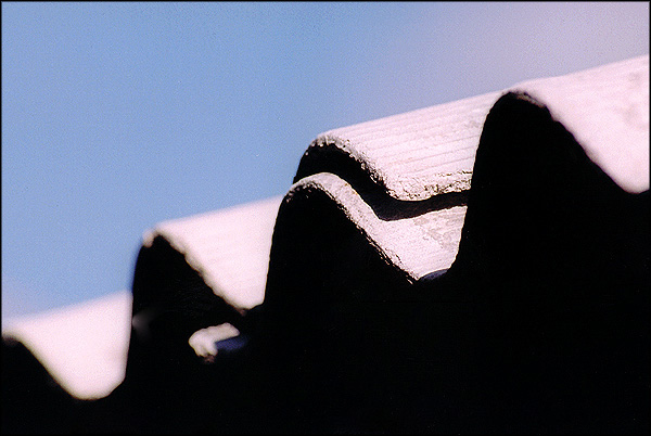 Fotografía por Jealousy para DesignCrowd (Community Contests) | Diseño #9124897