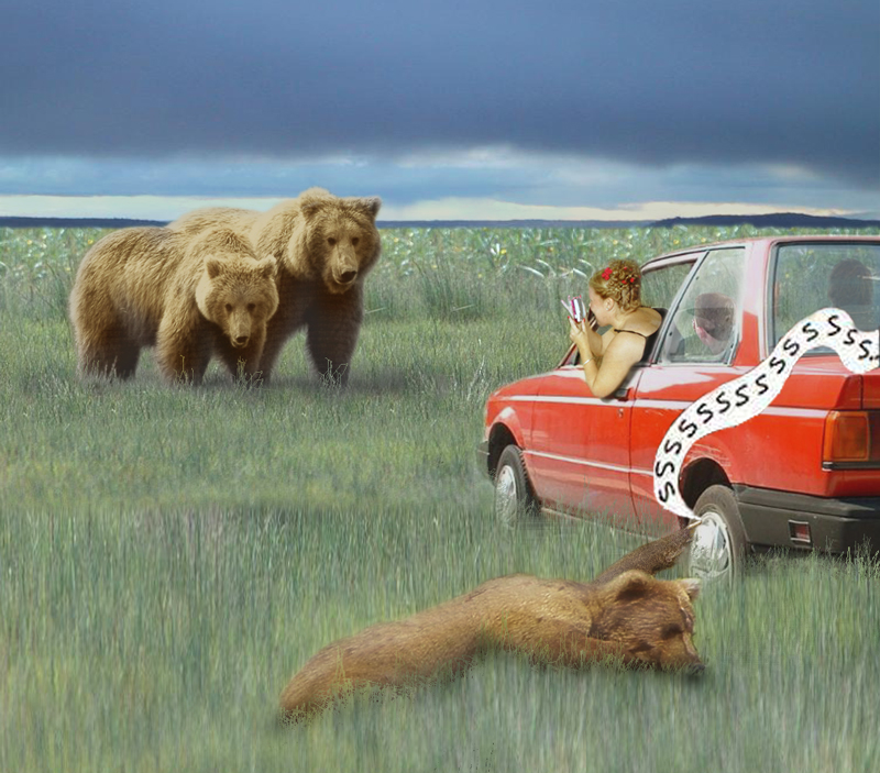 Photoshop Design by KebMo for DesignCrowd (Community Contests) | Design #9125972