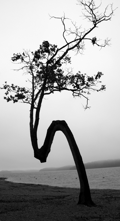 Photography by spsphoto for DesignCrowd (Community Contests) | Design #9124911