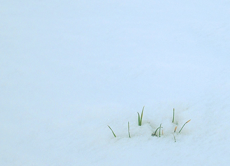 Photography by cl_UK for DesignCrowd (Community Contests) | Design #9100142