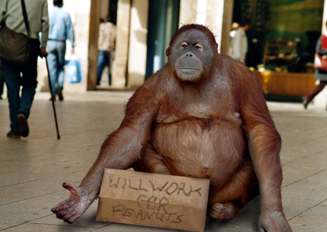 Diseño de Photoshop por LesKellert para DesignCrowd (Community Contests) | Diseño #9126039