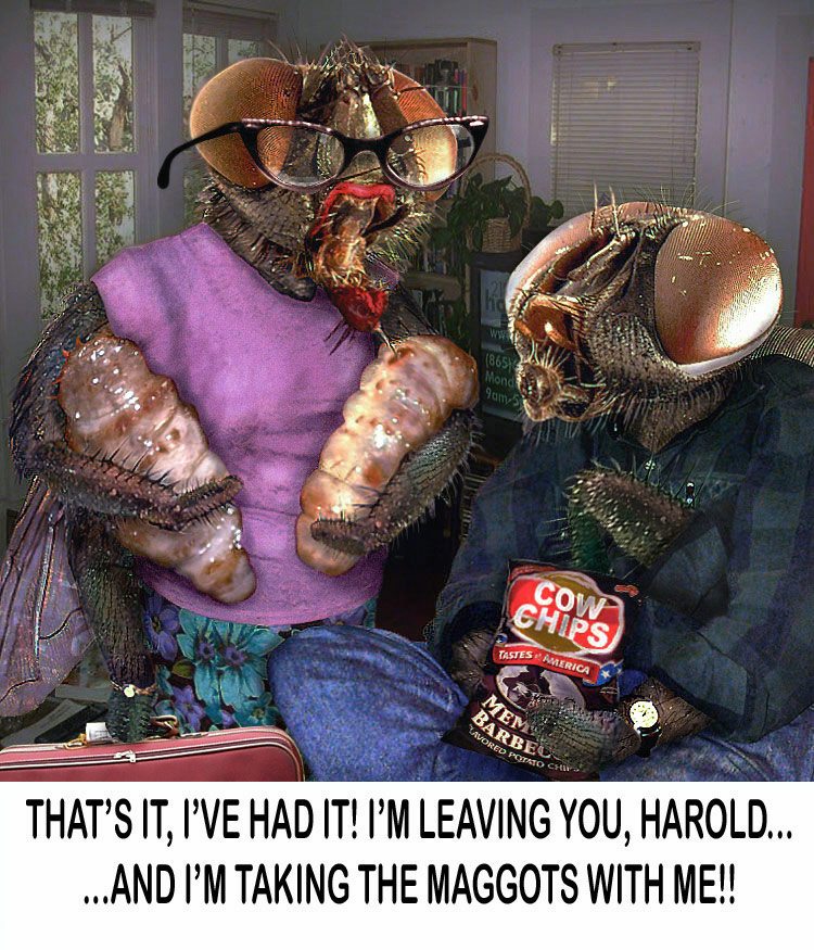 Photoshop-Design von CCZ für DesignCrowd (Community Contests) | Design #9126007