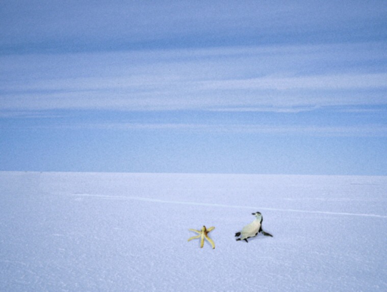 Design Photoshop par m000ch pour DesignCrowd (Community Contests) | Design #9126088